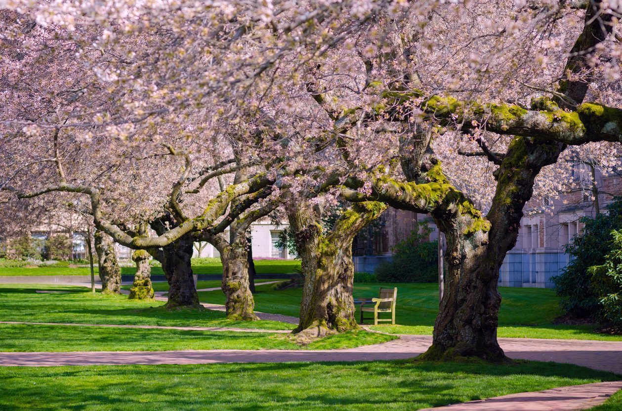 Extend Your Education: Lifelong Learning Is the New Reality for a Successful Career Extend Your Education: Lifelong Learning Is the New Reality for a Successful Career