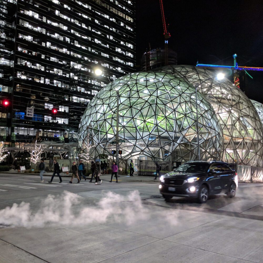 What Do Amazon and China Have in Common?