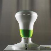 Bright Idea: Seeing the Light