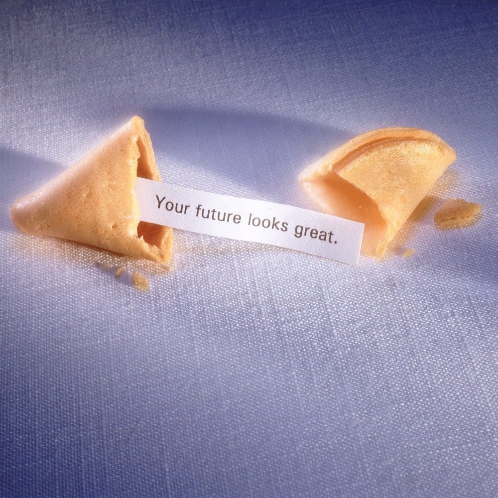 On Reflection: Living  the Dream