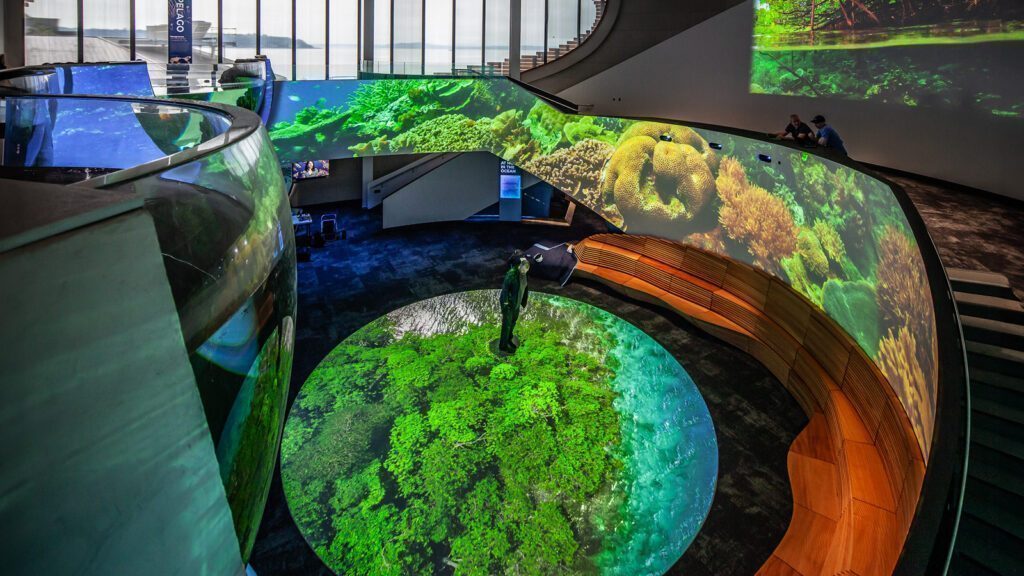 A person stands in a modern auditorium with curved seating and large screens projecting lush green underwater scenes above and on the walls.