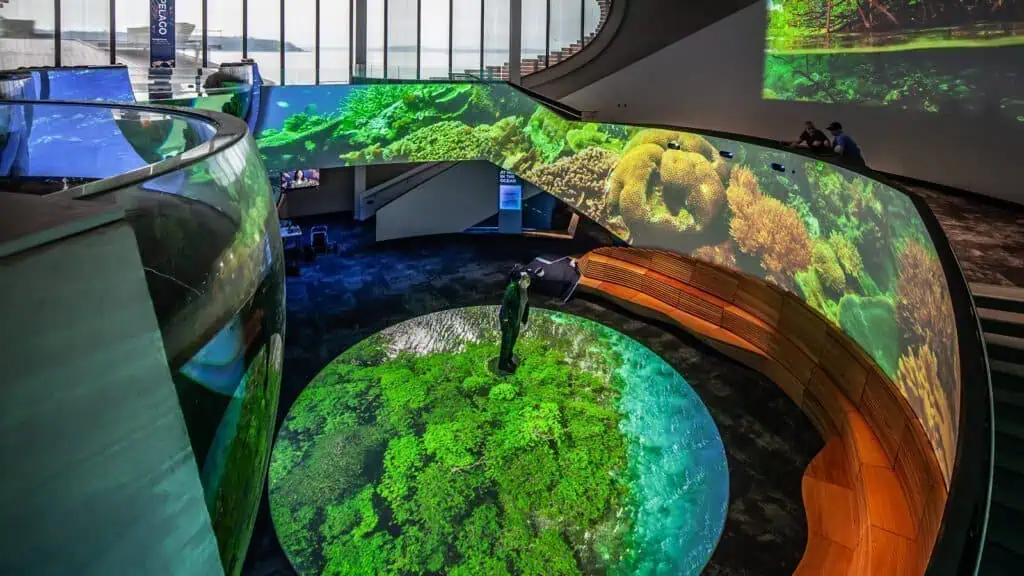 A beautifully designed curved staircase and seating area with large, vibrant coral reef projections on the walls grace the New Ocean Pavilion at the Seattle Aquarium.