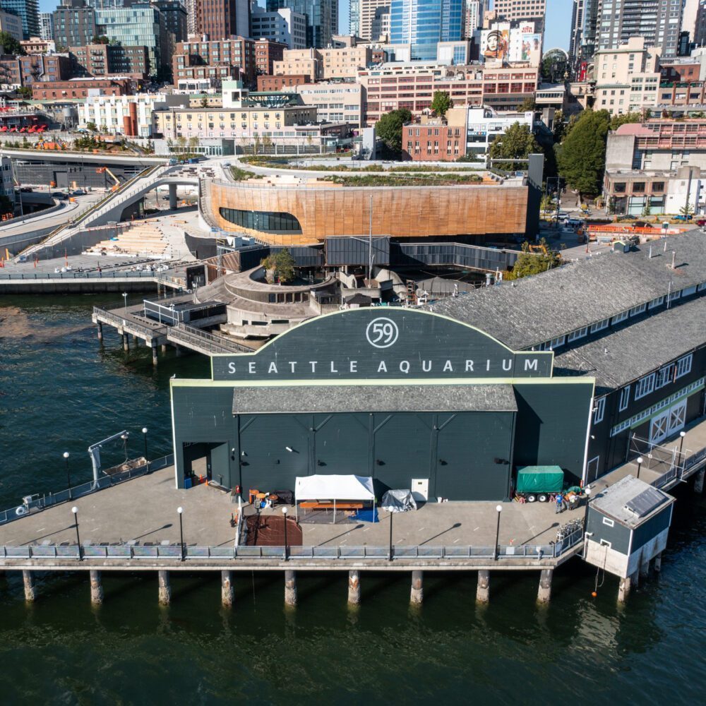 Dive into the Design Behind Seattle Aquarium’s New Ocean Pavilion