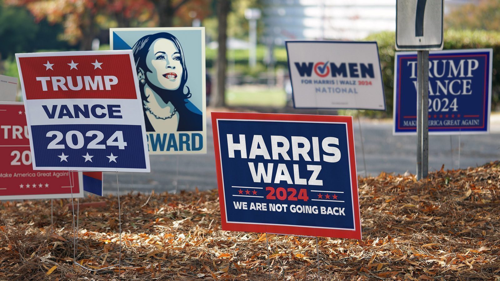 PoliticalCampaignSigns-2024_1600x900